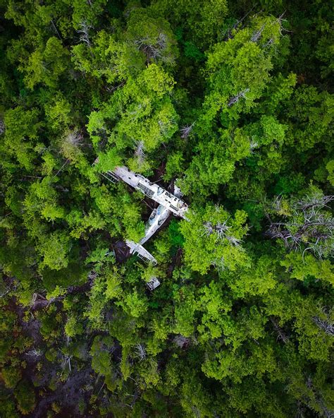 Hd Wallpaper Aerial Photography Of Trees Drone View Aerial View