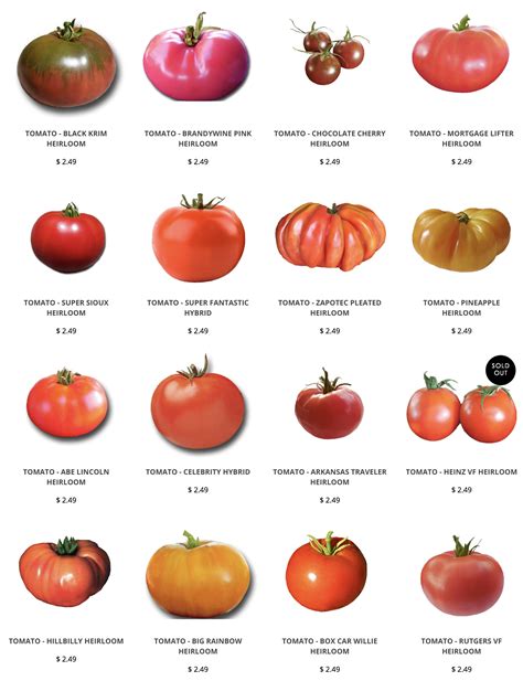 Heirloom Tomato Varieties Chart