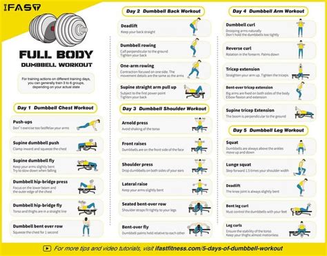 5 Days Of Full Body Dumbbell Workout Rinfographics
