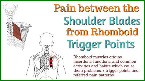Experiencing Nagging Pain Between Your Shoulder Blades Could Be The