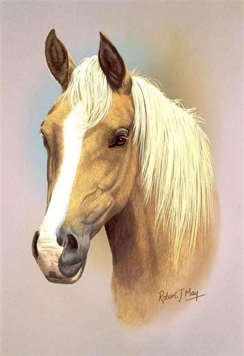 Horse Head Print In 2020 Equine Art Pencil Drawings Horse Painting