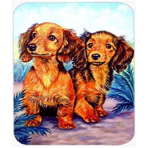 X In Long Hair Red Dachshund Mouse Pad Hot Pad Or Trivet