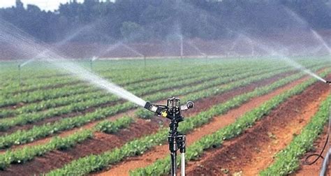 339bn Kuwait Loan To Facilitate Irrigation Tanzania