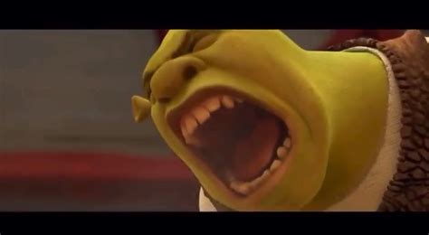 Pin By Rachelwilliams🥳🥳🥳 On Memessss Video Shrek Funny Shrek