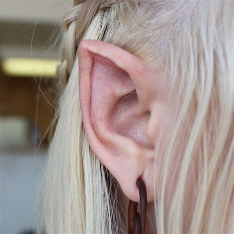 Another Pic Of Same Ear Body Mods Body Modifications Elf Ears