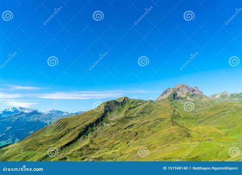 Beautiful Alps Mountain In Grindelwald Switzerland Stock Photo Image