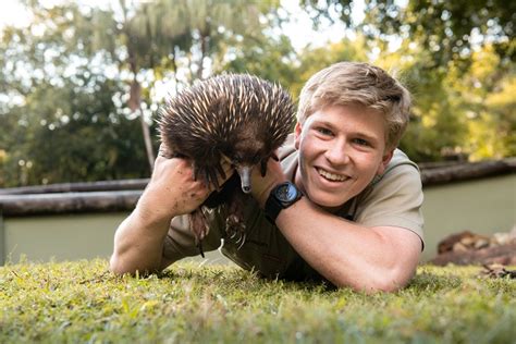 Top 77 About Australia Zoo Wildlife Hospital Best Nec