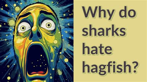 Why Do Sharks Hate Hagfish Youtube