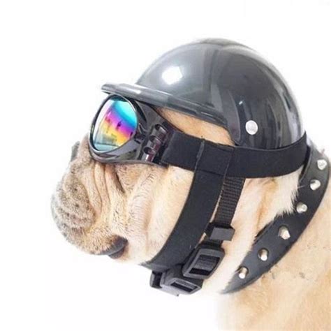 Motorcycle Helmet With Aviator Sunglasses 4 Colors Dog Hat Biker Dog