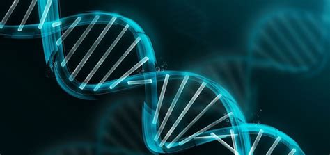 Comme les réflexions quasi prophétiques du physicien autrichien erwin schrödinger l'ont entrevu dès. Genética | Clínica FEHV