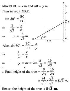 The triangles are similar by. 110 Best NCERT Solutions For Class 10 Maths images | Math questions, Math tutor, Math class