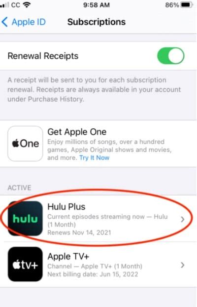 How To Cancel Hulu Subscription Including Free Trial New Vision Theatres