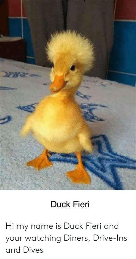 Don't forget to share your favorite duck meme collection with your friends! Duck Fieri Hi My Name Is Duck Fieri and Your Watching ...