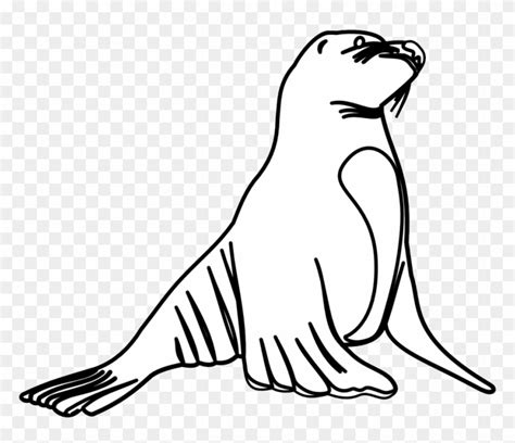 White Seal Cliparts Seal Black And White Free Transparent Png