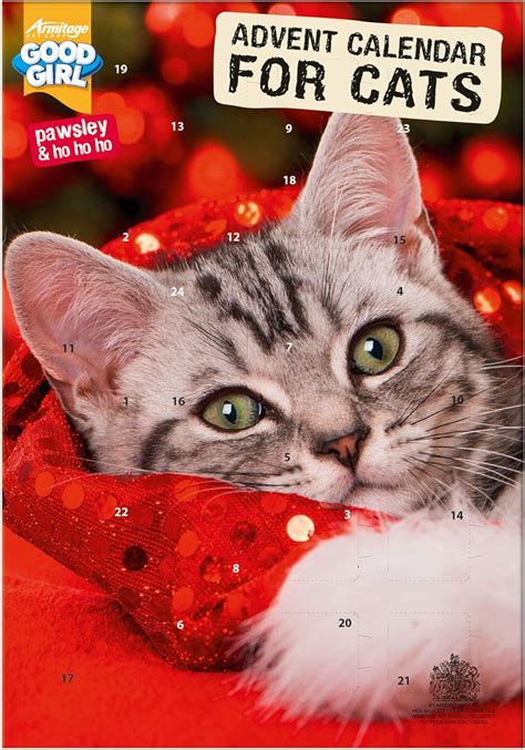 cat lover advent calendar 2024 marje coraline