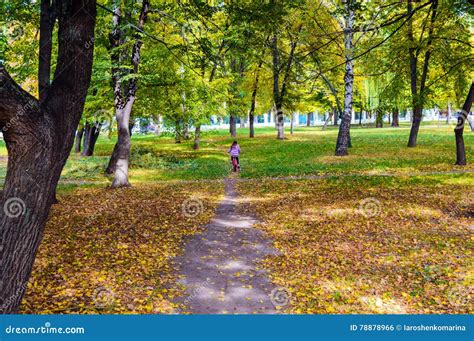 Beautiful View Of The Colorful Autumn Park Sunny Day Stock Photo