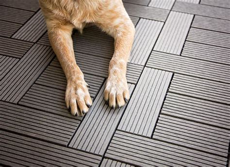 Reclaimed wood is ideal as it reuses existing wood from. Pet-Friendly Flooring Buying Guide