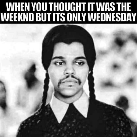 25 Best Wednesday Memes
