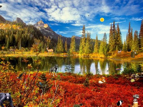 Autumn Fantasy Screensaver For Windows Nature Screensavers