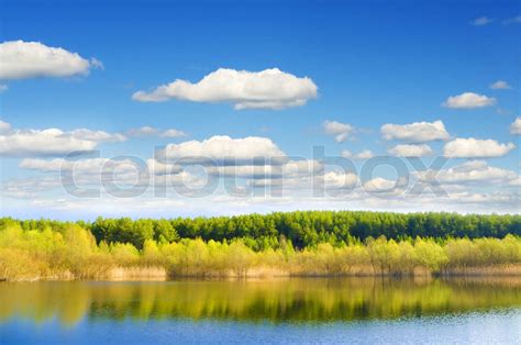 Forest Lake Stock Image Colourbox