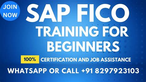 Sap Fico Training Sap Fico Videos 1 For Beginners Call Or Whats App