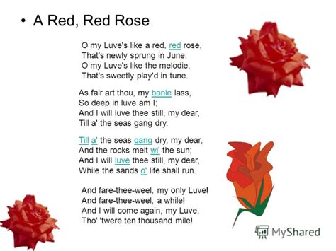 My Love Is Like A Red Red Rose Lyrics Robert Burns