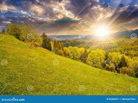 Meadow With Trees In Mountains At Sunset Stock Image Image Of Light