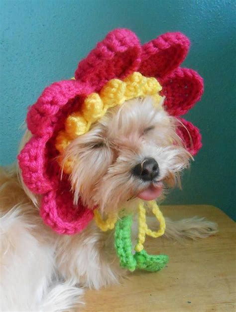 Crocheted Flower Hat For Cat Or Dog Pink Flower Hat For