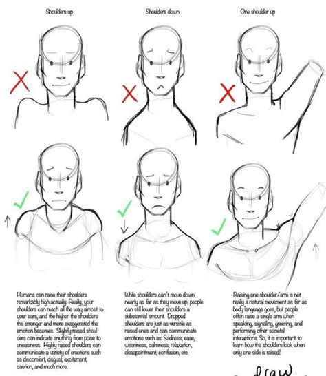 Shoulders Drawing Poses Drawing Techniques Drawing Reference Poses