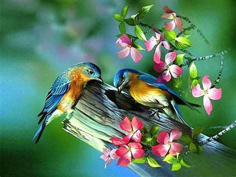 Painting Of Birds In Spring And For Facebook For Your Mobile