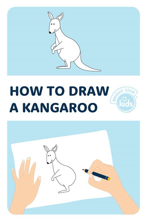 How To Draw A Kangaroo Easy Kangaroo Drawing Bright Star Kids