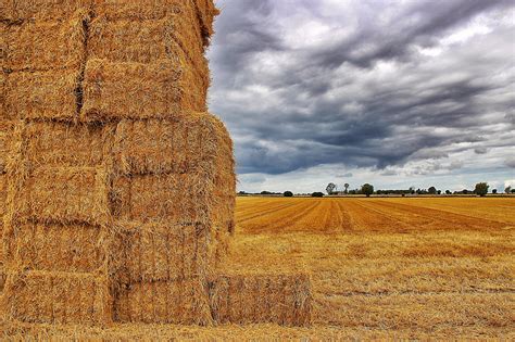 Wallpaper Landscape Food Sky Rain Field Canon Straw Wheat Hay