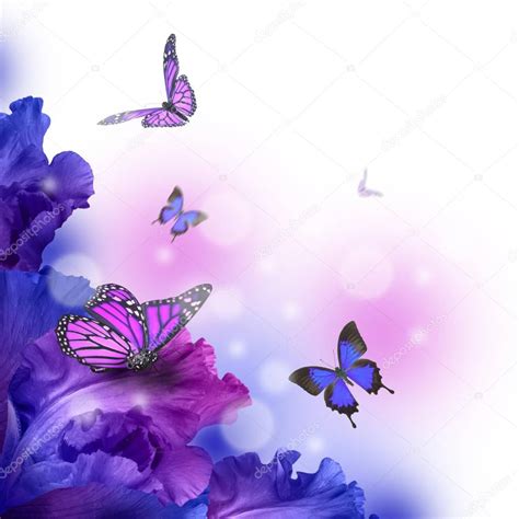 Pictures Butterfly Fairy Amazing Butterfly Fairy Of Flowers — Stock