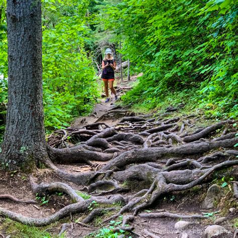 The Best Hiking Trails Within 50 Miles Of Duluth Mn