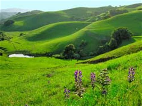 From briones peak, the highest point in the park, there are panoramic views of mount diablo and the diablo valley to the briones' 6,255 acres are home to many animals and birds, which forage on the. EBRPD - Briones