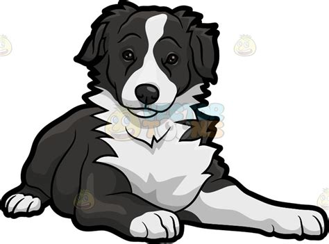 An Adorable Border Collie Dog Border Collie Art Dog Clip Art Dog