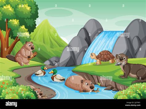 Waterfall In The Forest With Wild Animals Illustration Stock Vector