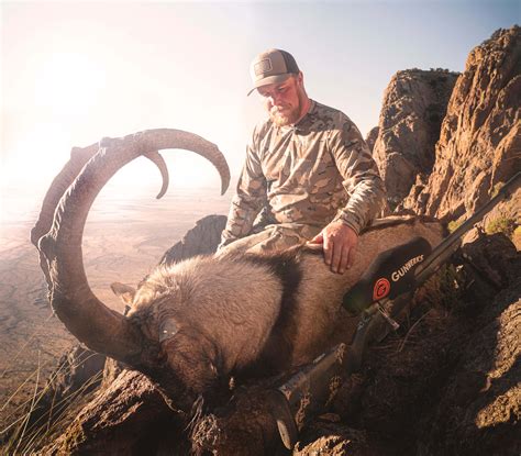 Persian Ibex Hunting In New Mexico