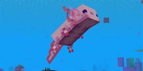 Minecraft Axolotl Facts Paper Writer