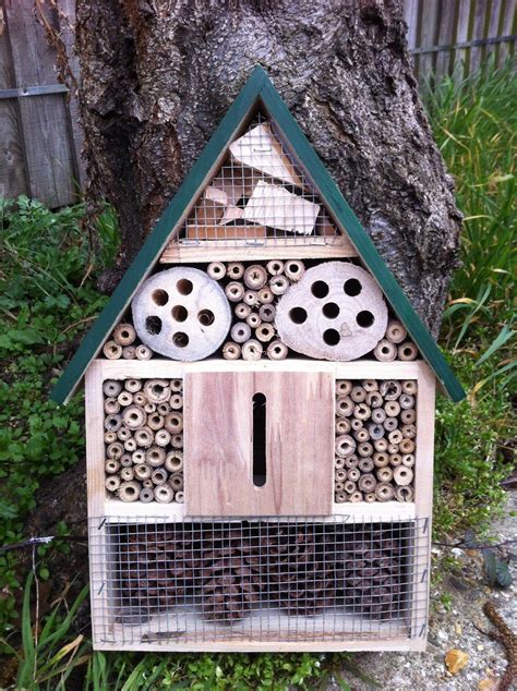 Insectbeebug Househotelshelter Box C Insect Hotel Bee Hotel