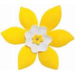 Daffodil Cancer Society Canadian Month April Pins