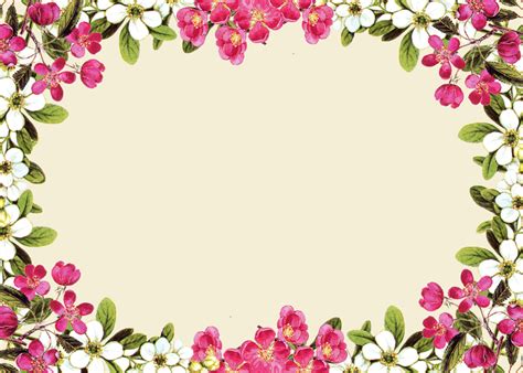Flowers Border Png Images Galleries With A Bite