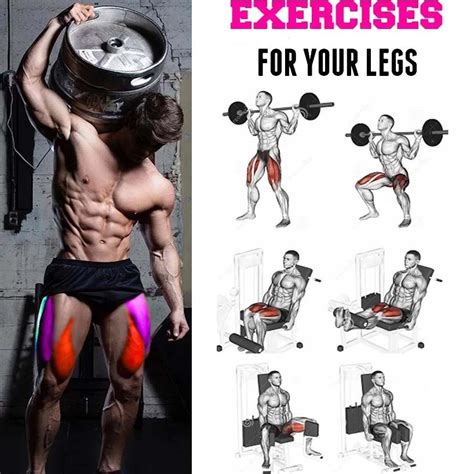 Top 5 Best Leg Exercises To Build Muscle