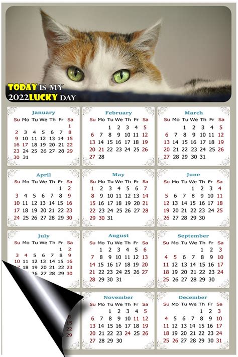 2022 Magnetic Calendar Calendar Magnets Today Is My Lucky Day Cat