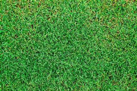 Green Grass Seamless Texture High Quality Stock Photos