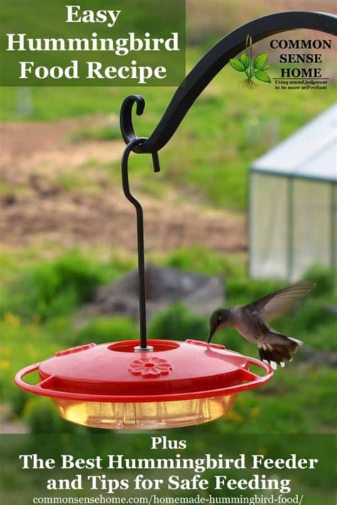 Maybe you would like to learn more about one of these? Homemade Hummingbird Food Recipe and the Best Feeder