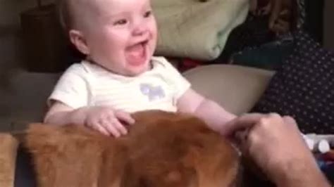 Dog Makes Baby Laugh Hysterically Positive Vibes