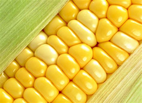 Grains De Maïs Origines Bienfaits Et Nutriments Ooreka