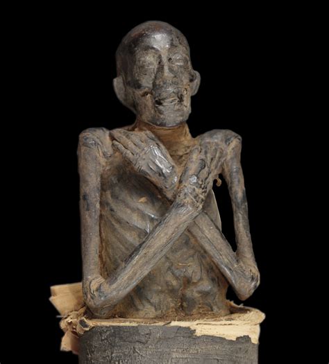 When This 3000 Year Old Mummy Finally Got Her Checkup Doctors