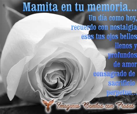 Rosas Blancas Con Mensajes De Amor Para Una Madre Fallecida